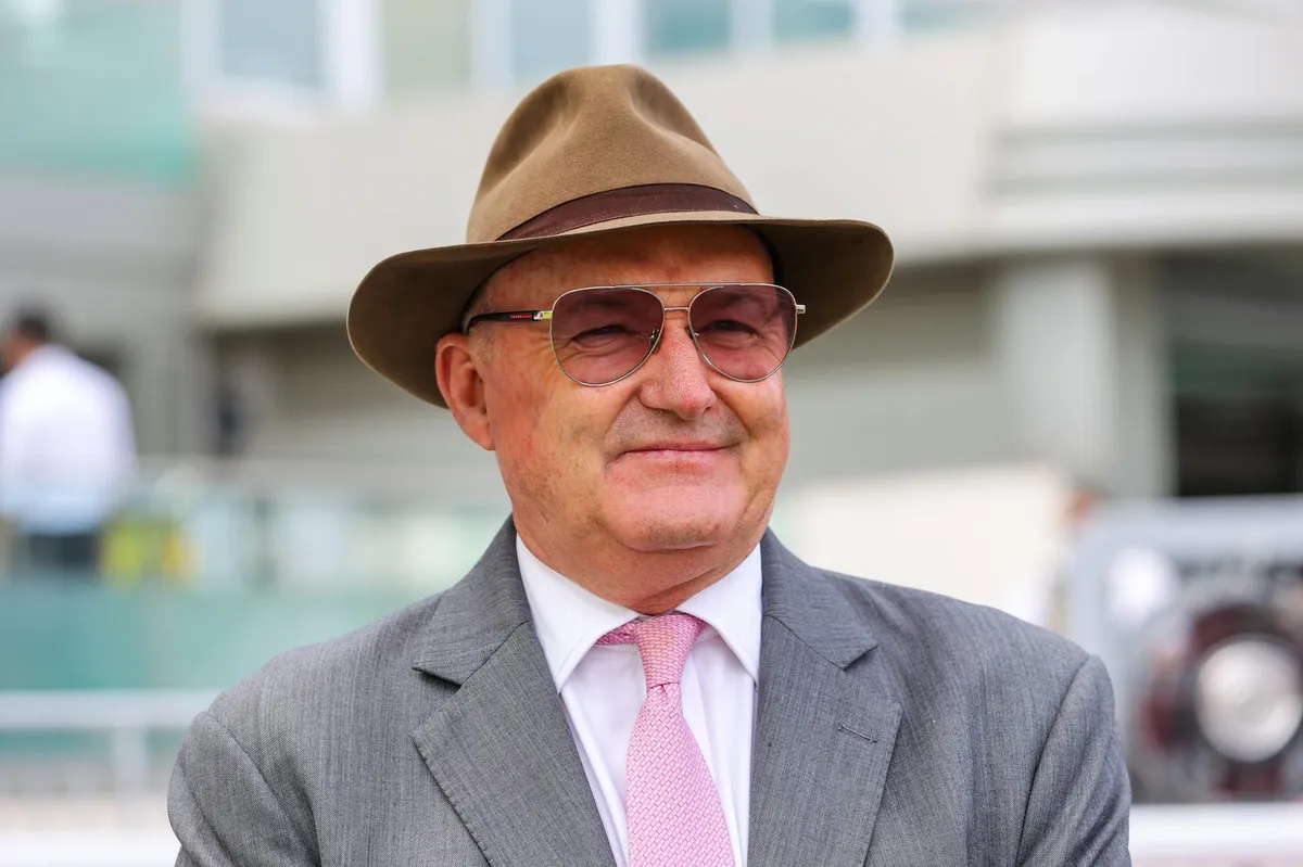 David hayes partner: David Haye’s Partner: A Look into His Complex Relationships