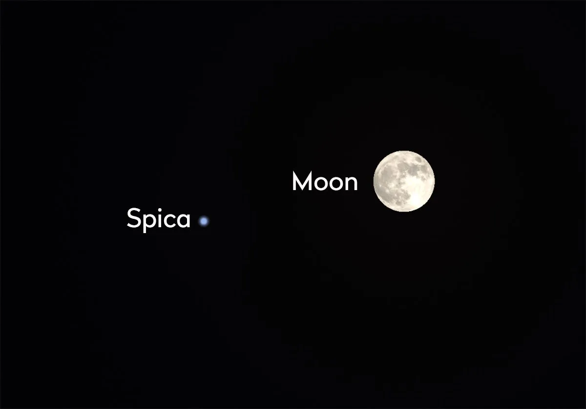 Full moon: The will be a micromoon on May 1, 2026