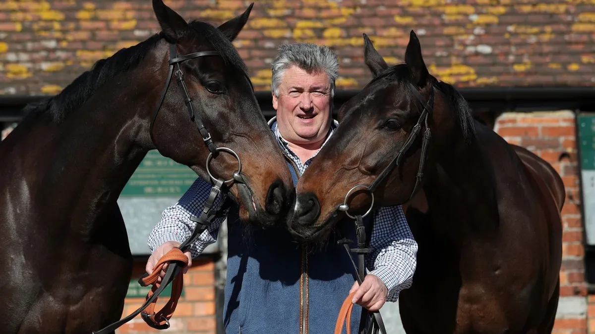 Paul nicholls stable news