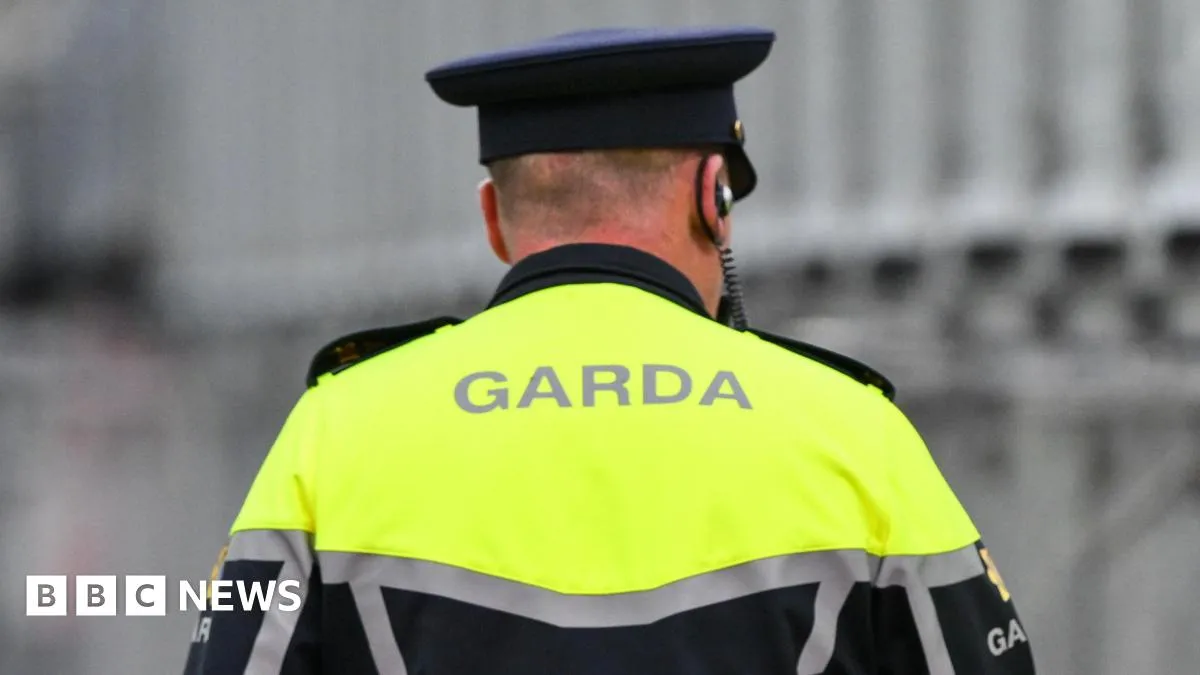 Scarlett Faulkner Dies After Assault in Birdhill