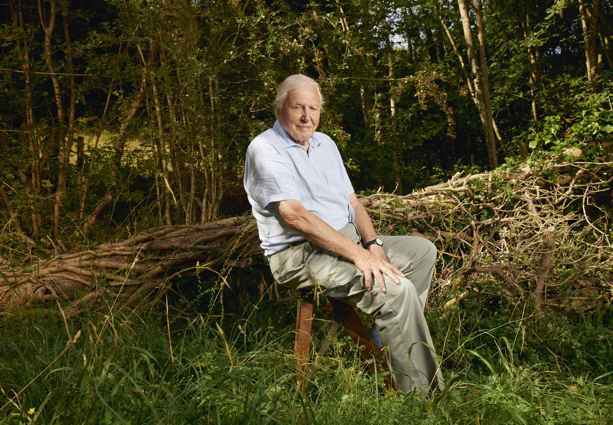 david attenborough — GB news