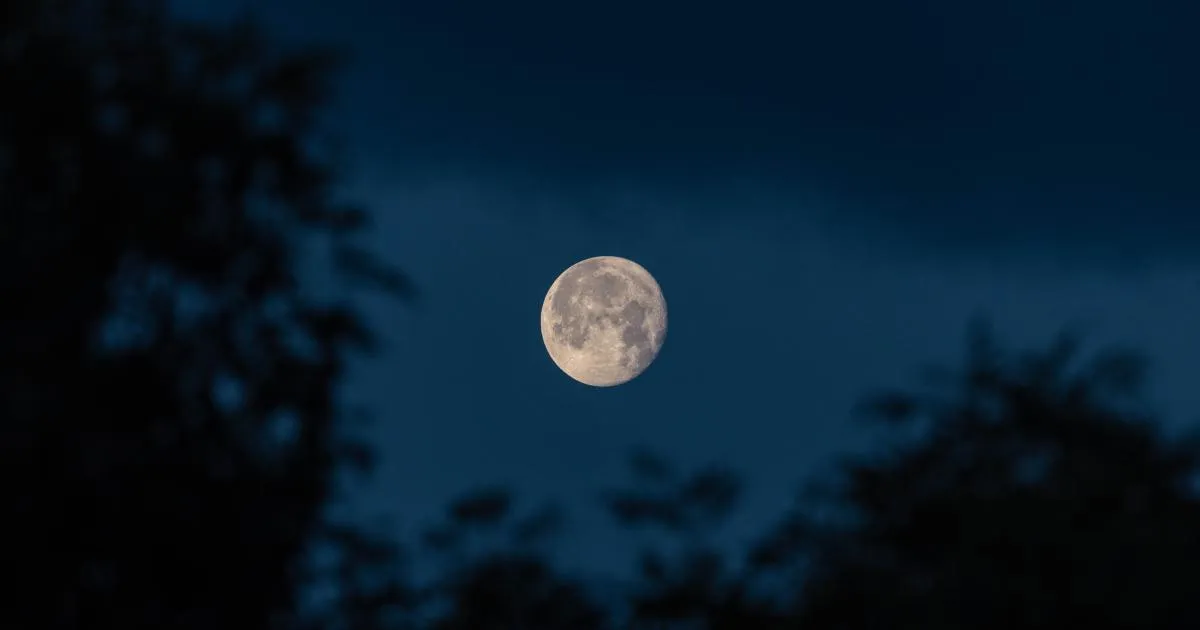 Flower moon: The : A Micromoon on May 1, 2026